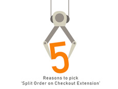5 Reasons to pick 'Split Order on Checkout Extension' for your Magento Store!
