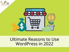 Ultimate Reasons to Use WordPress in 2022