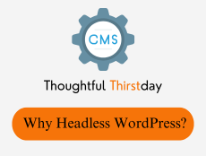 Craft An Unforgettable E-Commerce Experience With Headless WordPress