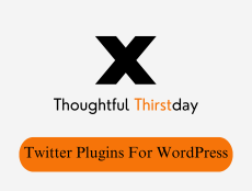 Find Your Perfect Match: A Roundup Of Must-Have Twitter (X) Plugins For WordPress